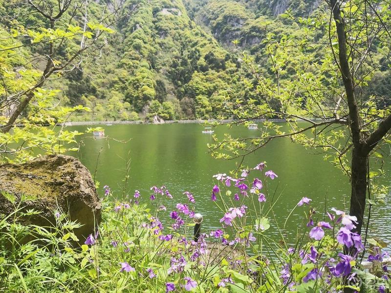 惠民政策来享受，响应号召不出市，秦岭山中好风光，防疫旅游两不误。