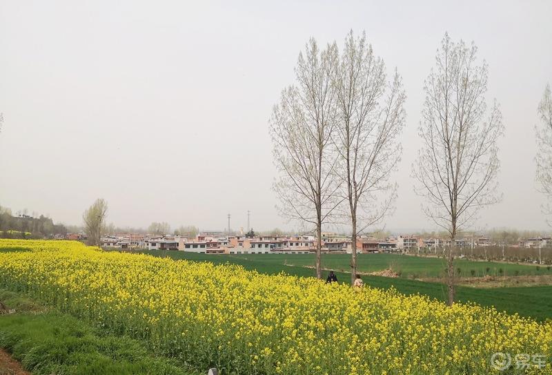 惠民政策来享受，响应号召不出市，秦岭山中好风光，防疫旅游两不误。