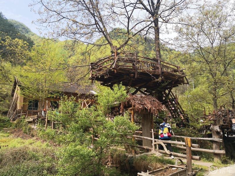 惠民政策来享受，响应号召不出市，秦岭山中好风光，防疫旅游两不误。