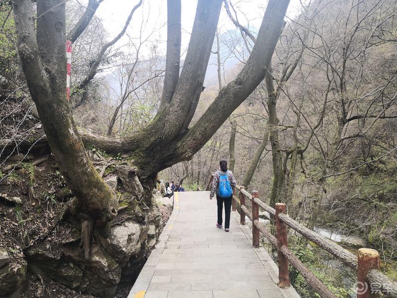 惠民政策来享受，响应号召不出市，秦岭山中好风光，防疫旅游两不误。