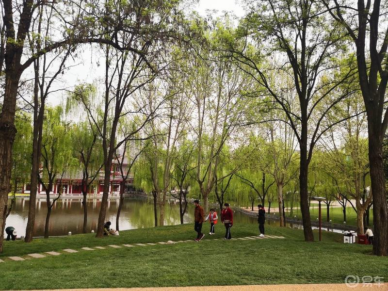 惠民政策来享受，响应号召不出市，秦岭山中好风光，防疫旅游两不误。