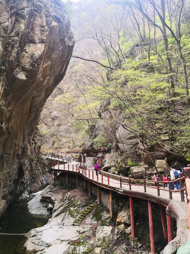 惠民政策来享受，响应号召不出市，秦岭山中好风光，防疫旅游两不误。