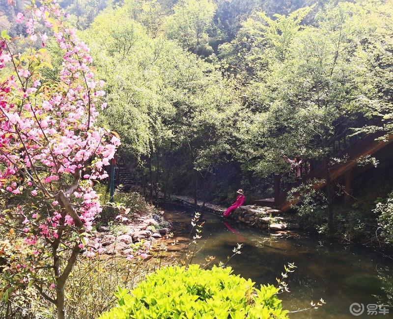 惠民政策来享受，响应号召不出市，秦岭山中好风光，防疫旅游两不误。