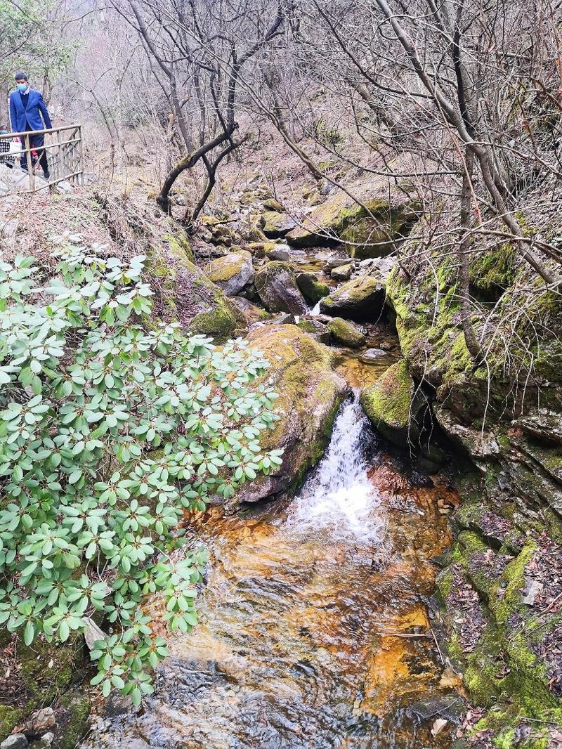 惠民政策来享受，响应号召不出市，秦岭山中好风光，防疫旅游两不误。
