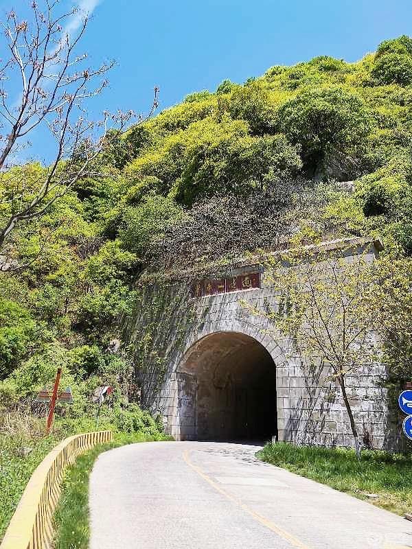 惠民政策来享受，响应号召不出市，秦岭山中好风光，防疫旅游两不误。
