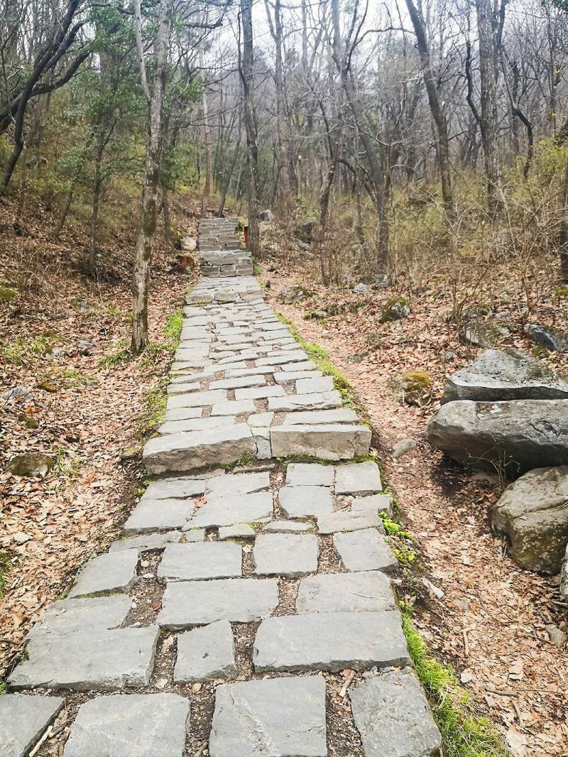 惠民政策来享受，响应号召不出市，秦岭山中好风光，防疫旅游两不误。
