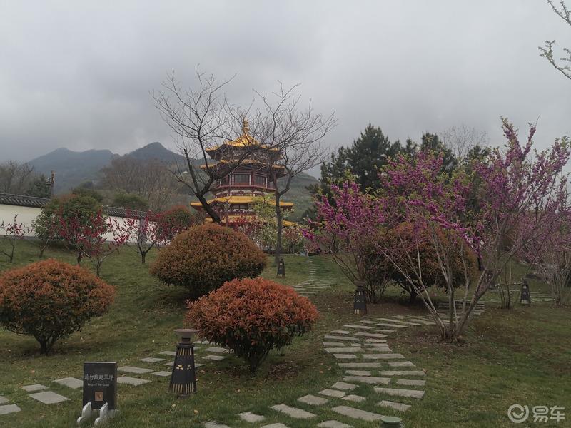 惠民政策来享受，响应号召不出市，秦岭山中好风光，防疫旅游两不误。