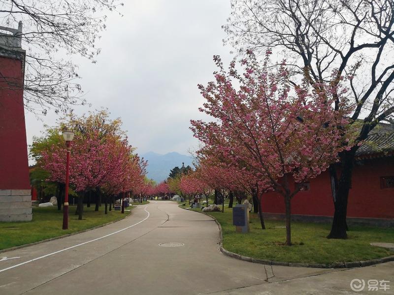 惠民政策来享受，响应号召不出市，秦岭山中好风光，防疫旅游两不误。
