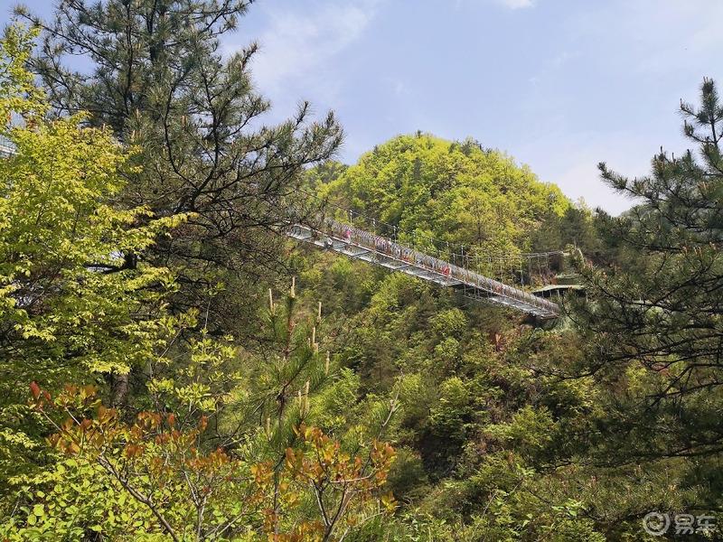 惠民政策来享受，响应号召不出市，秦岭山中好风光，防疫旅游两不误。