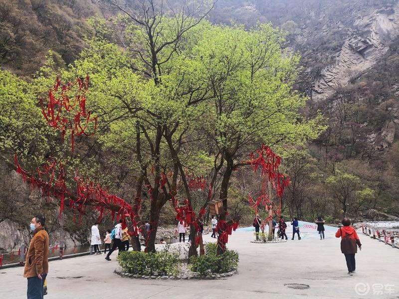 惠民政策来享受，响应号召不出市，秦岭山中好风光，防疫旅游两不误。