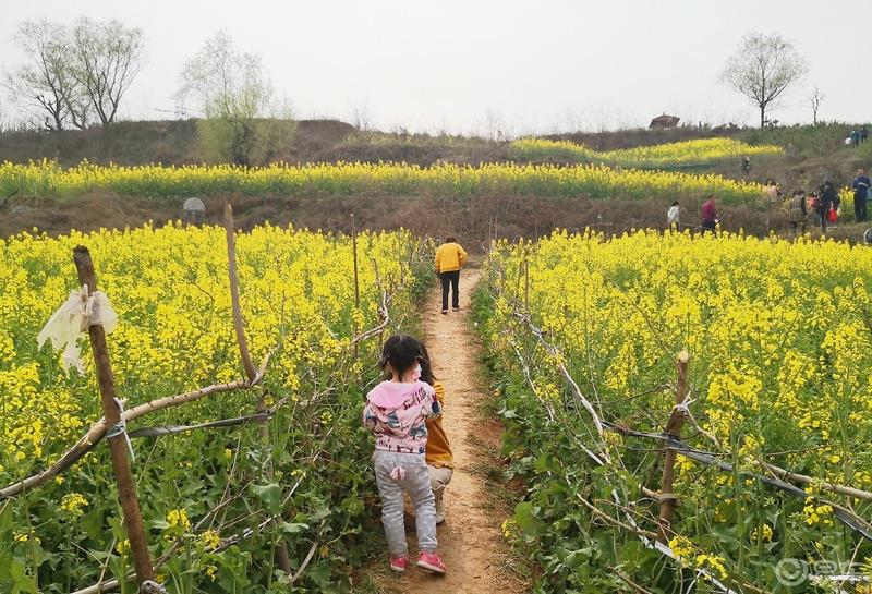惠民政策来享受，响应号召不出市，秦岭山中好风光，防疫旅游两不误。