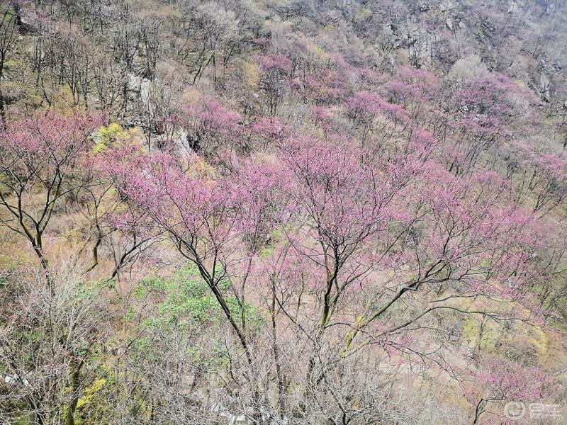 惠民政策来享受，响应号召不出市，秦岭山中好风光，防疫旅游两不误。
