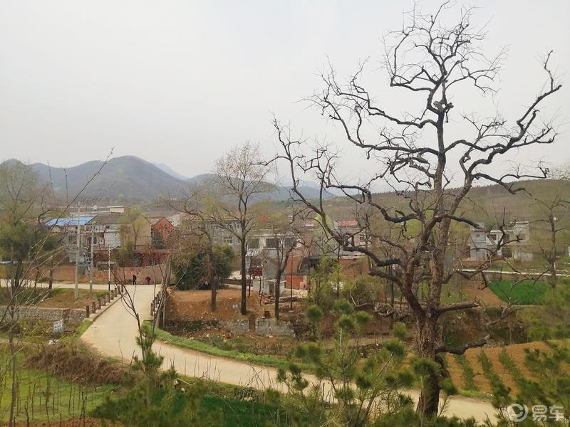 惠民政策来享受，响应号召不出市，秦岭山中好风光，防疫旅游两不误。