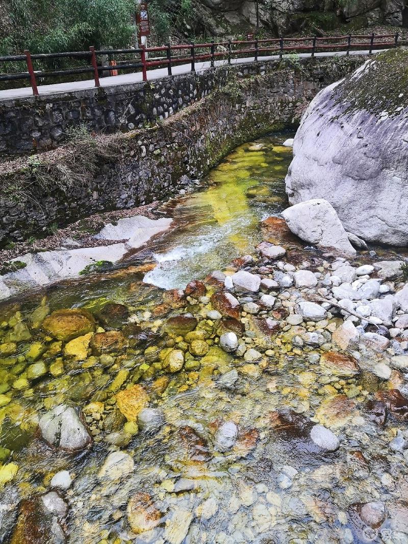 惠民政策来享受，响应号召不出市，秦岭山中好风光，防疫旅游两不误。