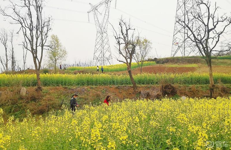 惠民政策来享受，响应号召不出市，秦岭山中好风光，防疫旅游两不误。