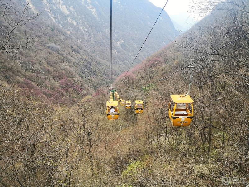 惠民政策来享受，响应号召不出市，秦岭山中好风光，防疫旅游两不误。