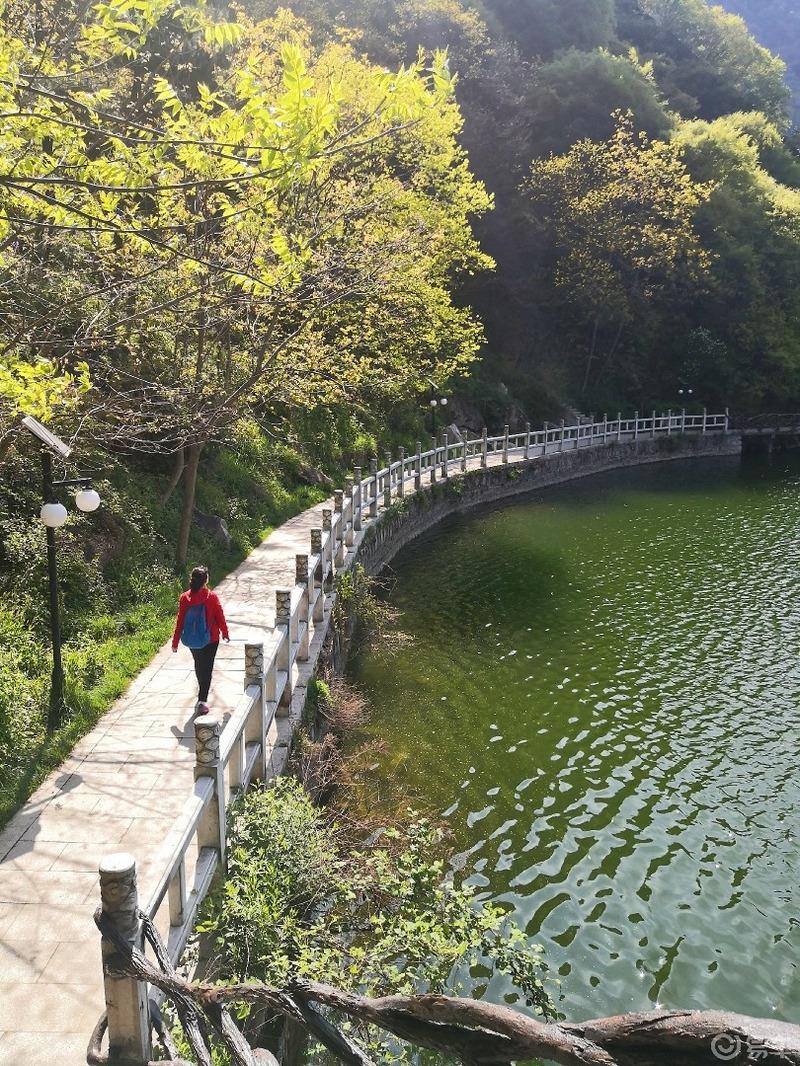惠民政策来享受，响应号召不出市，秦岭山中好风光，防疫旅游两不误。