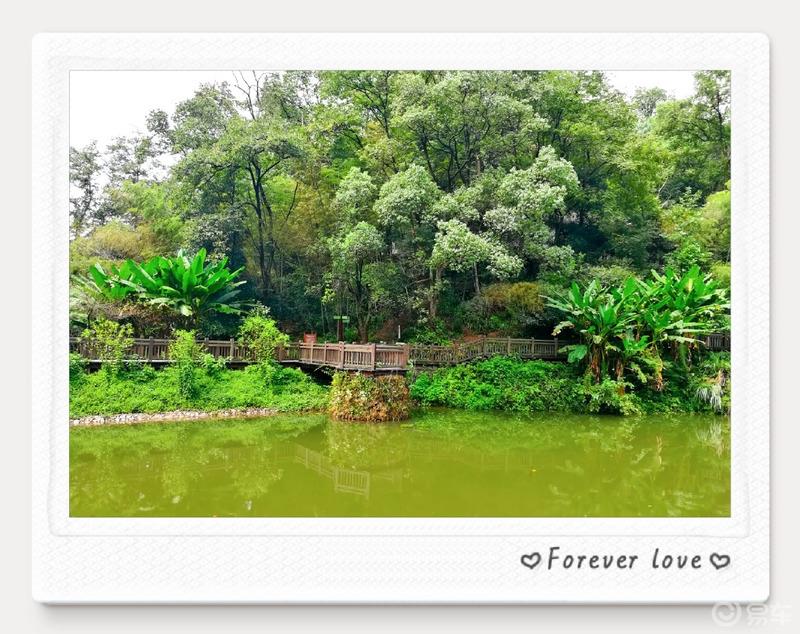  #易起趣旅行#之心灵的故乡——桃花源