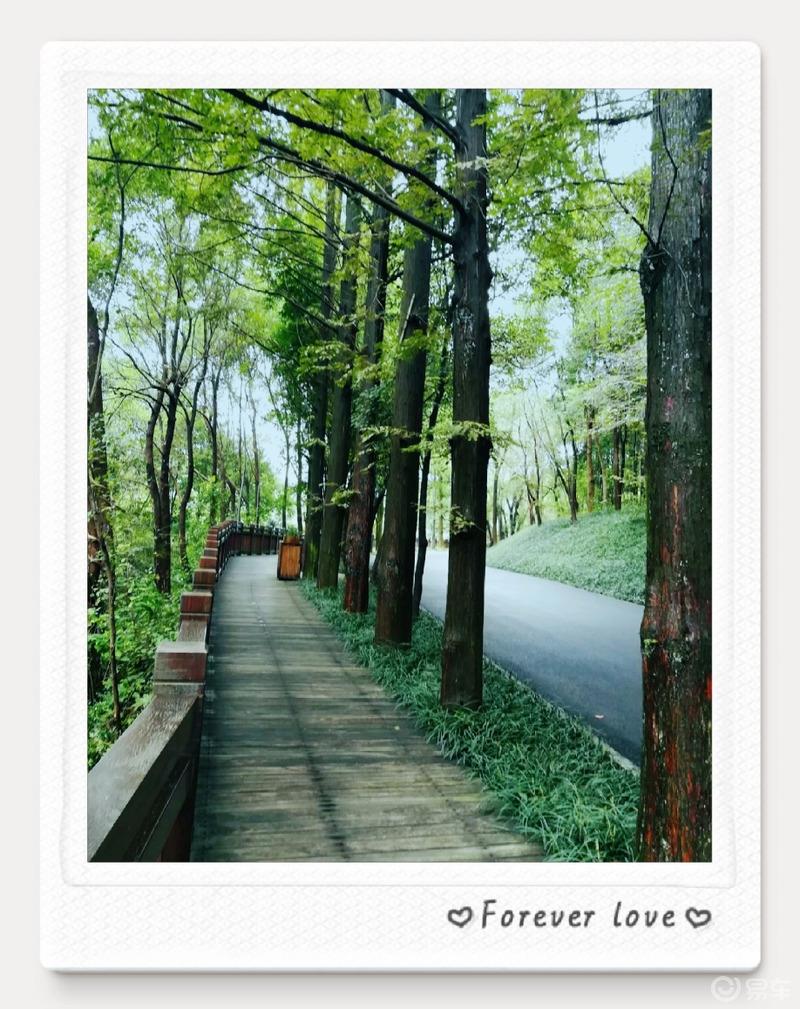  #易起趣旅行#之心灵的故乡——桃花源
