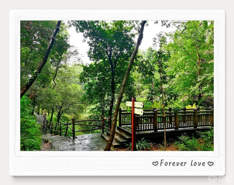  #易起趣旅行#之心灵的故乡——桃花源