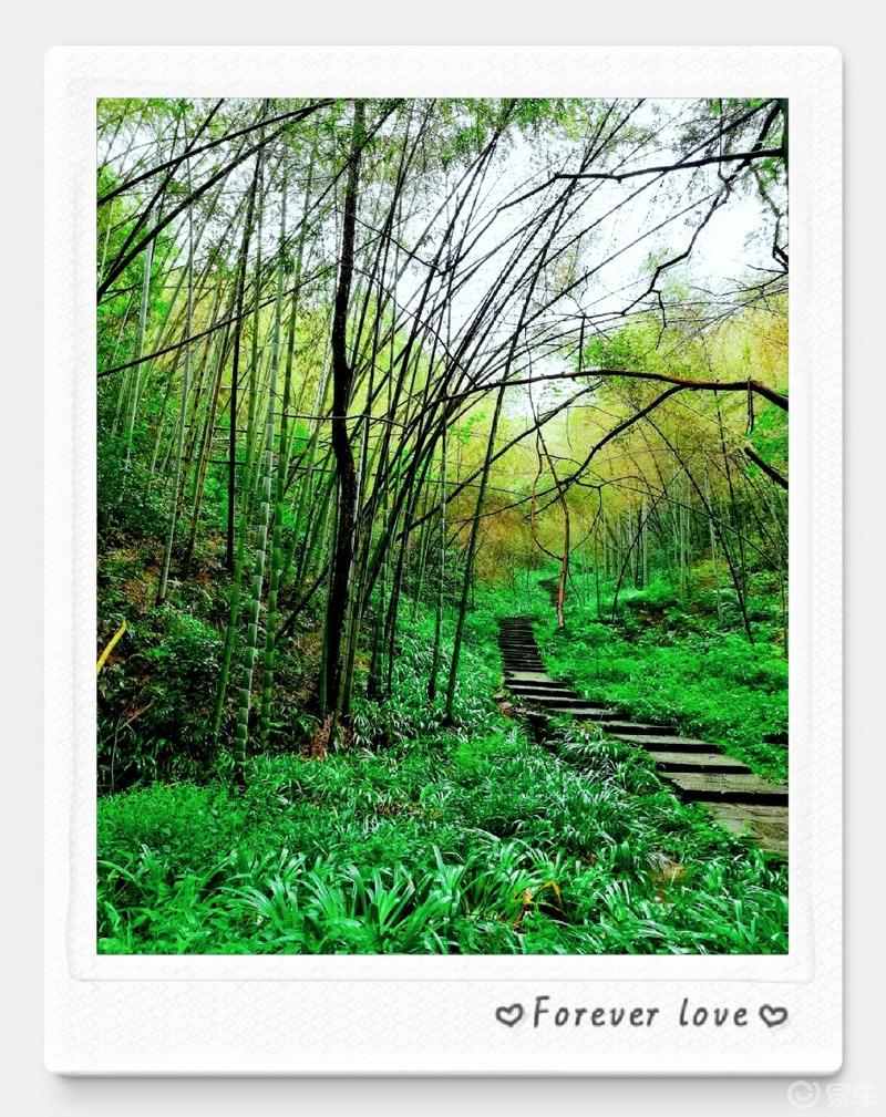  #易起趣旅行#之心灵的故乡——桃花源