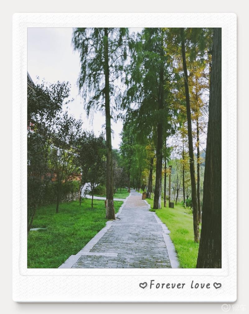  #易起趣旅行#之心灵的故乡——桃花源