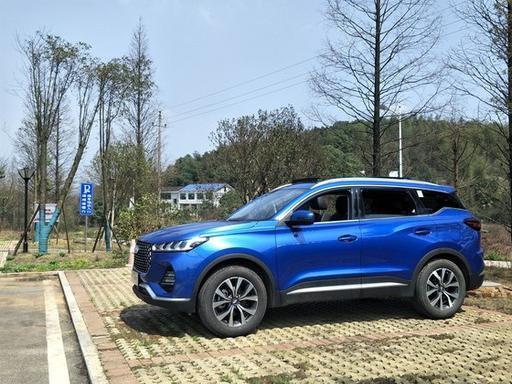 走向黎明，拥抱太阳，我和虎7一起迎接新的未来