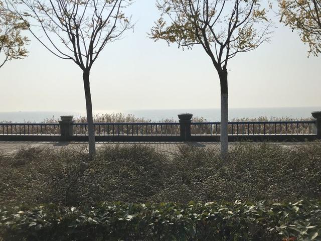 满意外观内饰 嘉悦A5用车心得