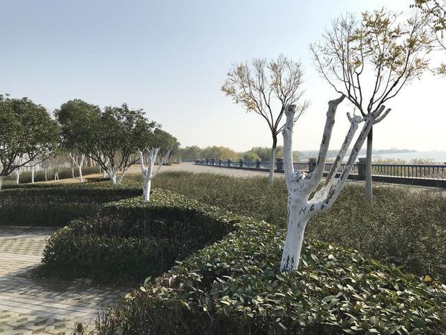 满意外观内饰 嘉悦A5用车心得