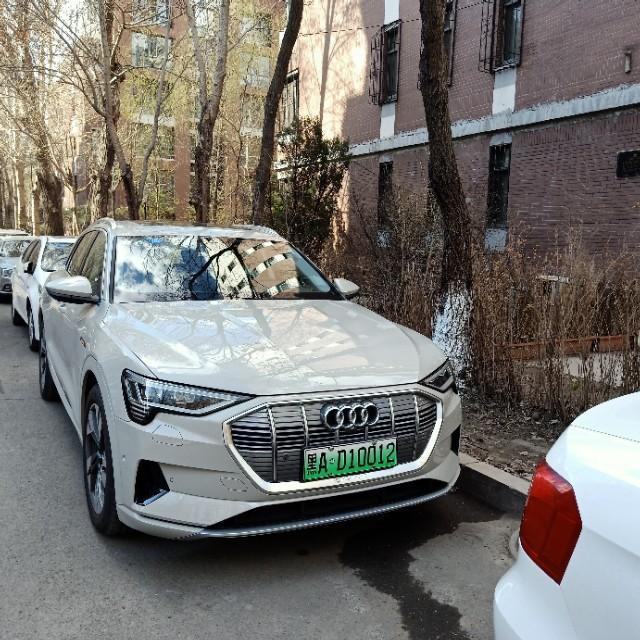 放弃宝马X5，80万提奥迪纯电动车，不为别的，只为是钢铁侠的座驾
