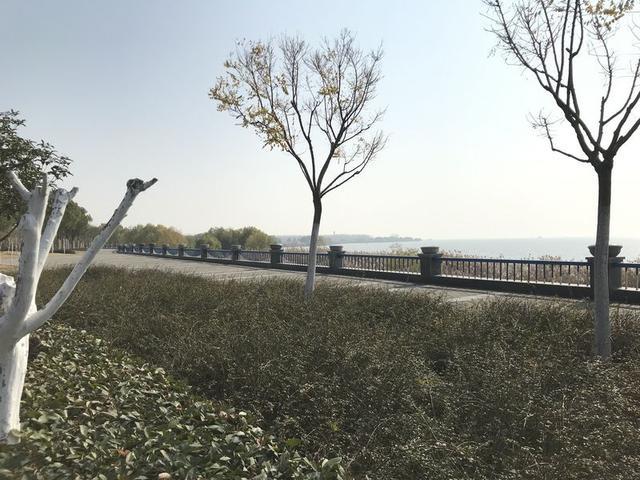 满意外观内饰 嘉悦A5用车心得