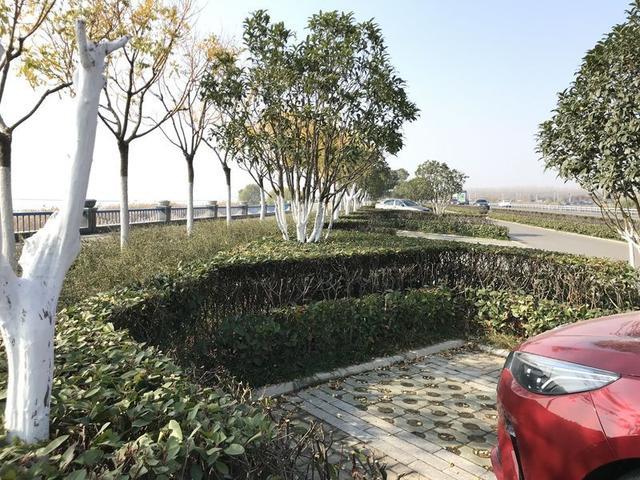 满意外观内饰 嘉悦A5用车心得