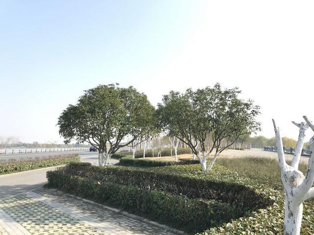 满意外观内饰 嘉悦A5用车心得