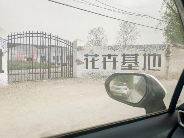 卡罗拉我安心的选择