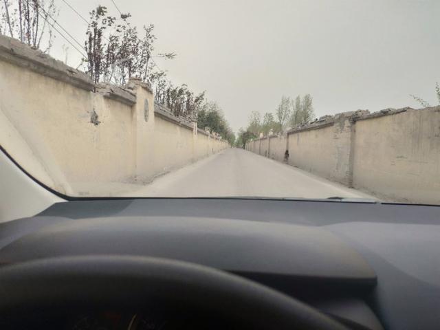 卡罗拉我安心的选择