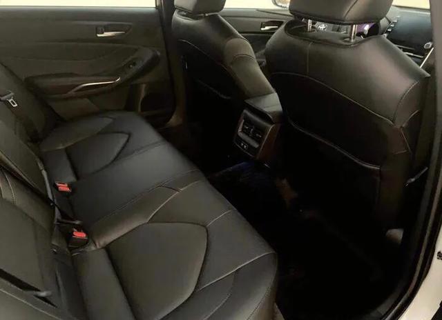 最终放弃了新能源车，买了亚洲龙