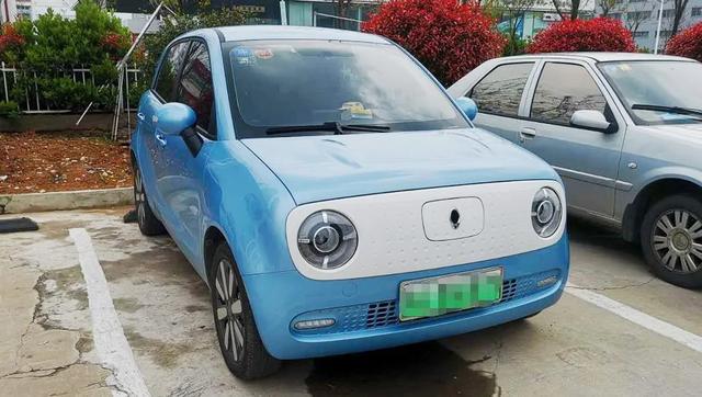 新能源车一年体验，自主品牌表现如何？欧拉车主讲了句实话
