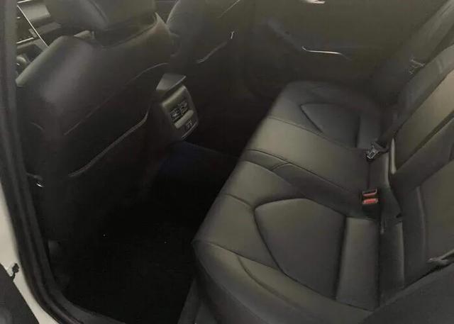 最终放弃了新能源车，买了亚洲龙