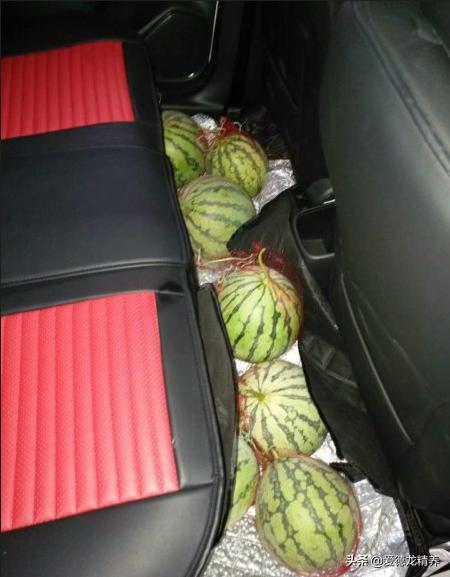 女司机与车丨飞度车使用感受：买发动机送车、经济实惠