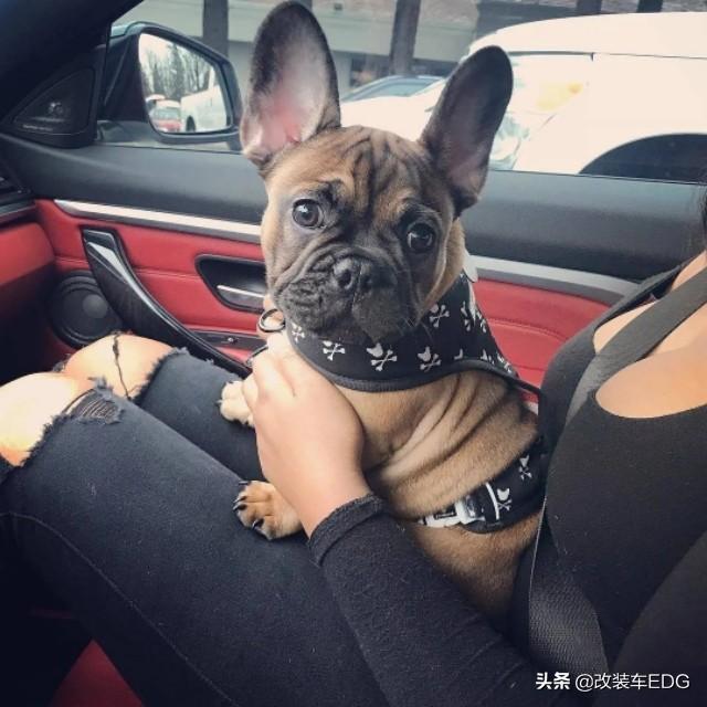 一步到位最过瘾，宝马440i F32上身精品宽体，姿态无可匹敌