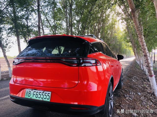 白杨林中一抹红，新疆法拉红唐绿色出行，感受农村的气息
