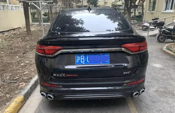 不顾家人反对，买了吉利这车，3000公里看到油耗后家人都闭嘴了