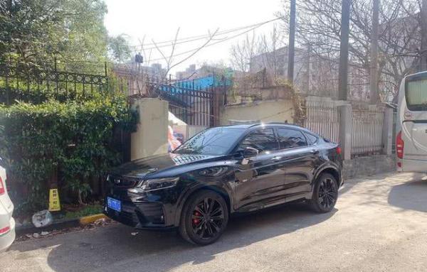 不顾家人反对，买了吉利这车，3000公里看到油耗后家人都闭嘴了