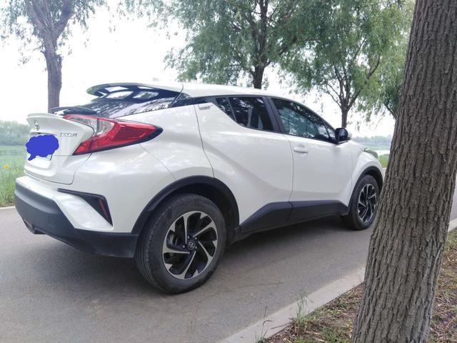 我心依旧年轻—奕泽伴我走一走