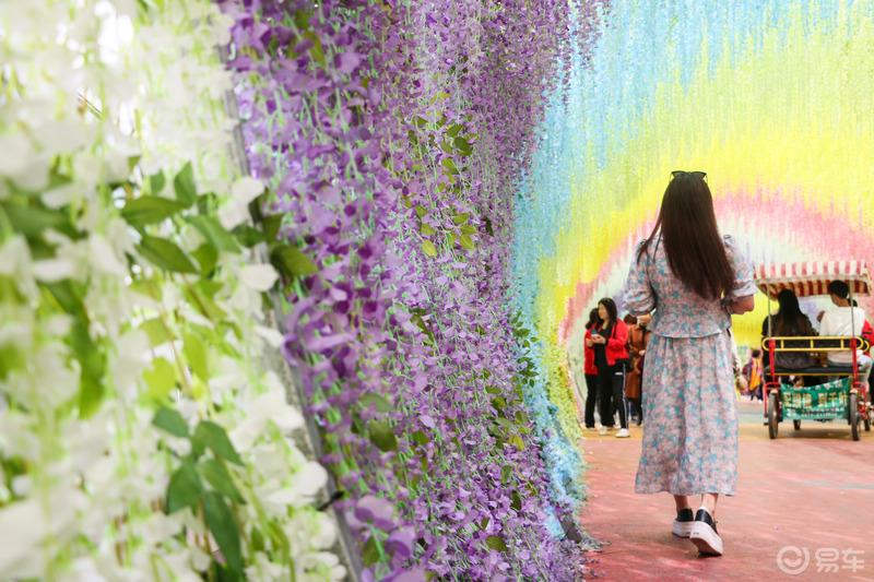 感受浪漫的花海世界——邂逅中国玫瑰海
