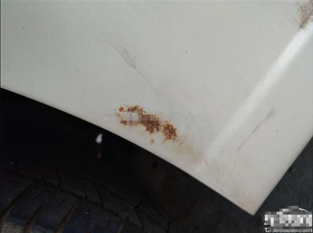 提车半年车身异响锈穿，10位车主9位想换车，车主：活该卖不出去