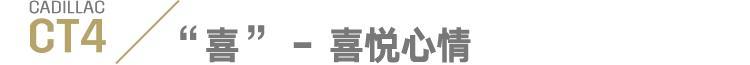 一起恰柠檬！谁不想要这样又惊又喜的提车仪式
