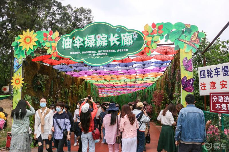 感受浪漫的花海世界——邂逅中国玫瑰海
