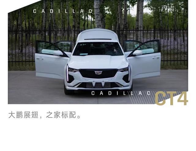 一起恰柠檬！谁不想要这样又惊又喜的提车仪式