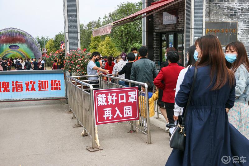 感受浪漫的花海世界——邂逅中国玫瑰海